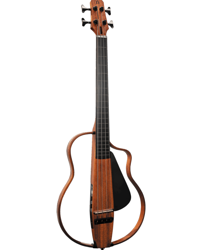 NBSG  Bass Fretless