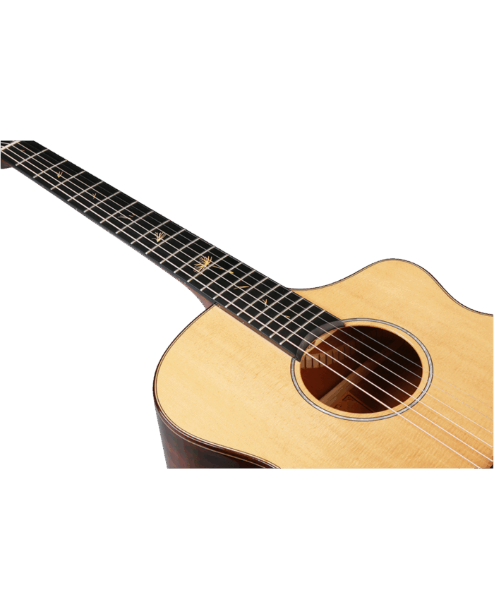 JC-1 Mini - 画像 (6)