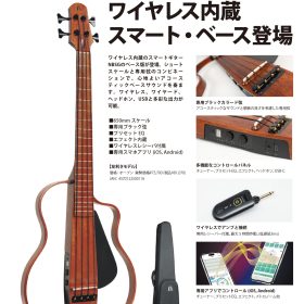 NBSG-BassプレスリリースV3